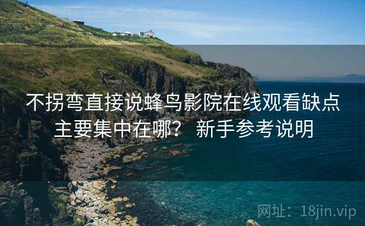 不拐弯直接说蜂鸟影院在线观看缺点主要集中在哪？ 新手参考说明