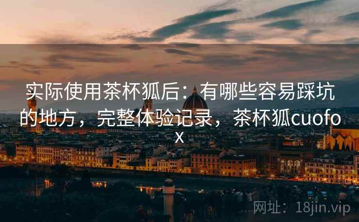 实际使用茶杯狐后：有哪些容易踩坑的地方，完整体验记录，茶杯狐cuofox