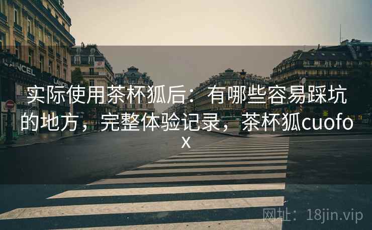 实际使用茶杯狐后：有哪些容易踩坑的地方，完整体验记录，茶杯狐cuofox