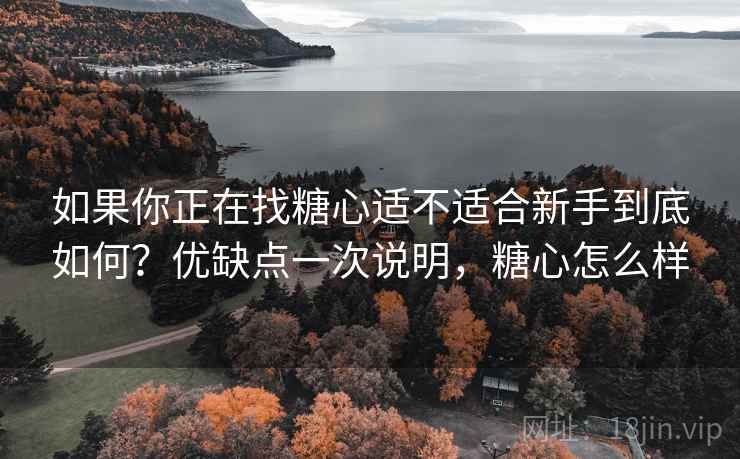 如果你正在找糖心适不适合新手到底如何?优缺点一次说明,糖心怎么样 如果你正在找糖心适不适合新手到底如何?优缺点一次说明,糖心怎么样