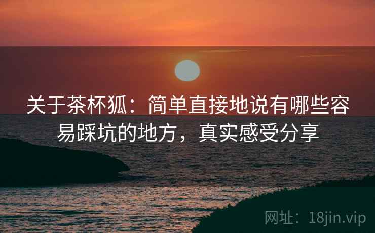 关于茶杯狐：简单直接地说有哪些容易踩坑的地方，真实感受分享